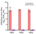 Heat inactivation of highly pathogenic avian influenza A virus subtype H5N1 in FBS, United States, 2025. FBS samples (1-mL aliquots) were spiked (107 TCID50/mL) with bovine highly pathogenic avian influenza A (H5N1) virus TX2/24 strain (clade 2.3.4.4b, genotype B3.13) and heat treated at 56°C for 30 minutes by using a water bath. Virus titers determined by endpoint dilutions in Cal-1 cells and expressed as TCID50/mL. Data represents observations (dots) from 3 independent experiments overlayed with the mean (horizontal line) +SEM (whiskers). FBS, fetal bovine serum; TCID50, 50% tissue culture infectious dose.