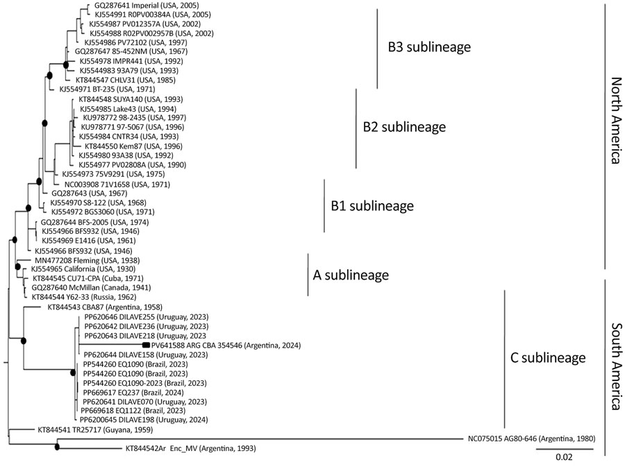 Phylogenetic analysis from study of western equine encephalitis virus (WEEV) in blood donors during outbreak, Argentina, 2023–2024. We generated a maximum-likelihood phylogenetic tree of a partial nucleotide sequence nonstructural protein 4 (201 bp) of a WEEV isolate from Argentina (black square) compared with other sequences from GenBank (accession numbers shown). We edited the tree using FigTree version 1.4.4 (https://tree.bio.ed.ac.uk/software/figtree). We selected the best-fit nucleotide substitution model general time-reversible substitution model with estimated base frequencies and gamma-distribution rate with 4 discrete categories according to the Bayesian Information Criterion. Black dots at nodes show the highest support (>80%) by SH-like approximate-likelihood ratio test. WEEV strains from the 2023–2024 outbreak group closely with other reported strains from Uruguay and Brazil (C sublineage). We defined WEEV lineages in accordance with previous research (22). Scale bar indicates number of nucleotide substitutions per site.