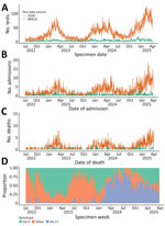 Number and proportion of positive norovirus test results and linked severe outcomes from a study of norovirus case-fatality risk in England during the 2022–23 and 2024–25 seasons. A) Number of de-duplicated positive norovirus test results. B) Number of hospital admissions within 14 days after a linked positive norovirus test result. C) Number of deaths occurring within 14 days of a linked positive norovirus test result. D) Proportion of norovirus genotypes among positive cases identified through the MOLIS. MOLIS, Modular Open Laboratory Information System; SGSS, Second Generation Surveillance Service.