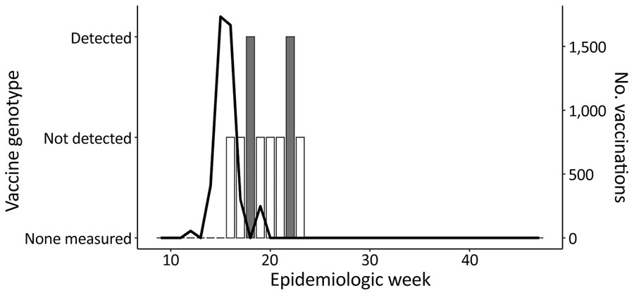 Wastewater surveillance for vaccine genotype measles and vaccination data for measles virus in Leamington, Ontario, 2025. Black line indicates weekly vaccine administrations and trend; dark bars indicate wastewater detections of MeV hemagglutinin gene single-nucleotide polymorphism unique to the vaccine genotype. White bars indicate weeks in which vaccine genotype measles virus was not detected.