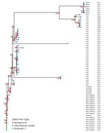 Maximum-likelihood phylogenetic tree of sequence type 36 isolates for study of emergent Vibrio parahaemolyticus gastroenteritis outbreaks, New Zealand, 2019–2022. Tree was constructed using core-genome single-nucleotide polymorphism alignment of all publicly available New Zealand and international V. parahaemolyticus sequence type 36 isolates detected during 1990–2021. Bootstrap values are calculated from 2000 trees; only bootstrap values >70% are shown in red.