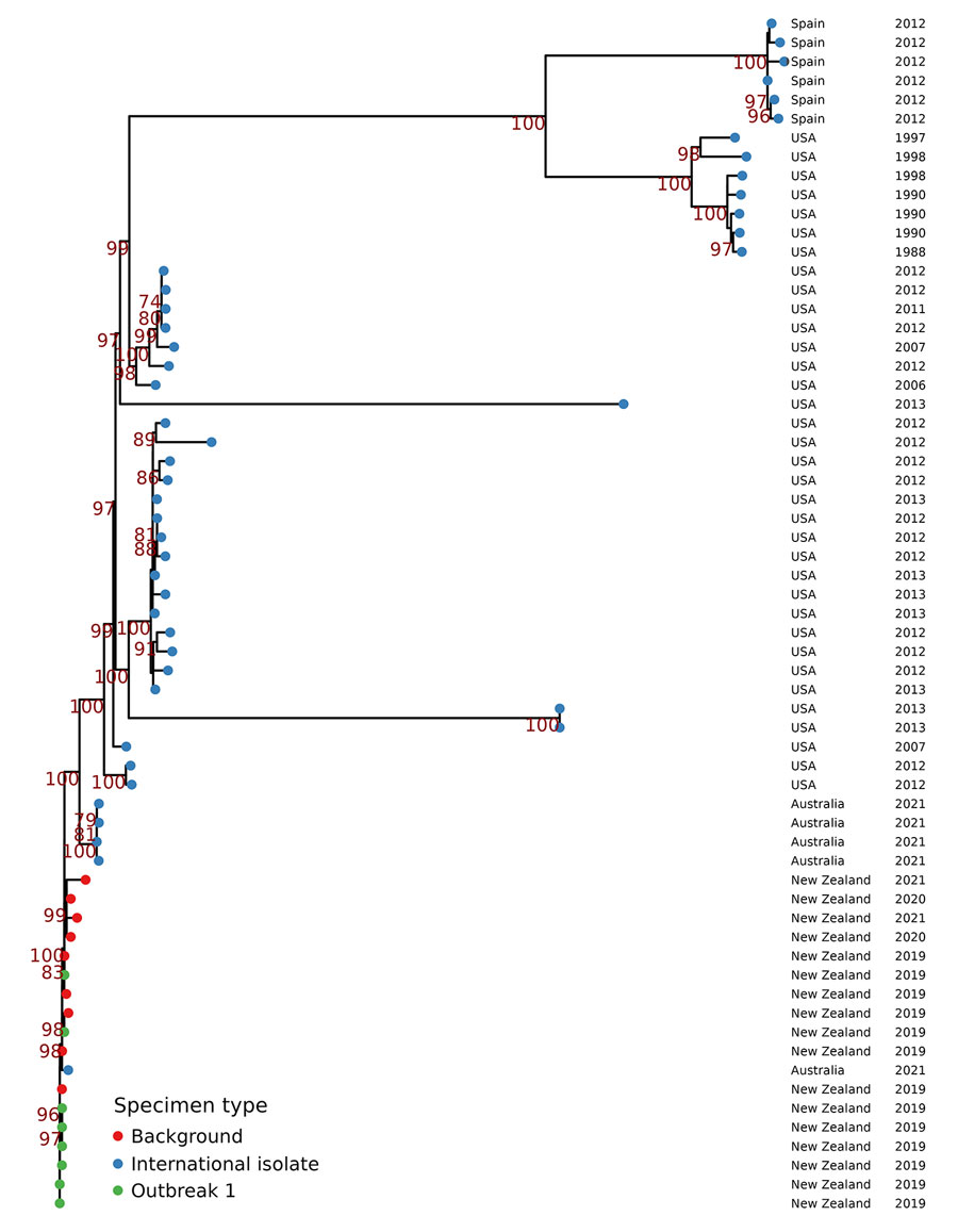 Maximum-likelihood phylogenetic tree of sequence type 36 isolates for study of emergent Vibrio parahaemolyticus gastroenteritis outbreaks, New Zealand, 2019–2022. Tree was constructed using core-genome single-nucleotide polymorphism alignment of all publicly available New Zealand and international V. parahaemolyticus sequence type 36 isolates detected during 1990–2021. Bootstrap values are calculated from 2000 trees; only bootstrap values >70% are shown in red.