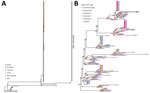 Maximum-likelihood phylogenetic tree of sequence type 50 isolates for study of emergent Vibrio parahaemolyticus gastroenteritis outbreaks, New Zealand, 2019–2022. Tree was constructed using core-genome single-nucleotide polymorphism alignment of all publicly available New Zealand and international V. parahaemolyticus sequence type 50 isolates detected during 1997–April 2022. The New Zealand sequence type 50 outbreak clade, which includes Australia isolates, is indicated. B) Magnification of the New Zealand V. parahaemolyticus sequence type 50 outbreak clade maximum likelihood phylogenetic tree, by specimen type and sample collection year. Bootstrap values calculated from 2,000 trees; only bootstrap values >70% are shown in red.