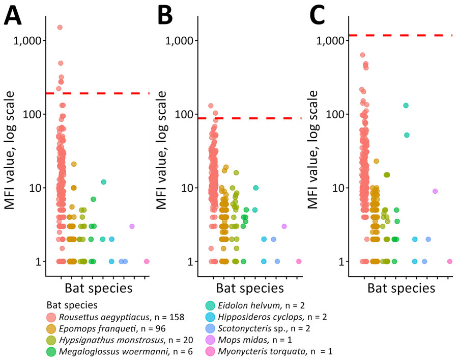 Marburg virus antibody responses in bat species in communities bordering Equatorial Guinea Marburg outbreak, Cameroon, 2023. MFI values for Marburg virus antigens nucleoprotein (A), glycoprotein 1 (B), and 40-kDa viral protein (C) are shown for 9 bat species. The red dashed horizontal line represents the seropositivity threshold, derived from log-transformed negative-control MFI values (mean +4 SD; n = 150) and back-transformed to the original MFI scale (nucleoprotein, 191; glycoprotein 1, 88; 40-kDa viral protein, 1,173). MFI, median fluorescence intensity.