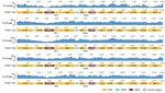 Mitochondrial genome organization and sequence coverage maps of Angiostrongylus cantonensis rat lungworm from black rat oral swab specimens in southeastern Madagascar, 2022–2023.