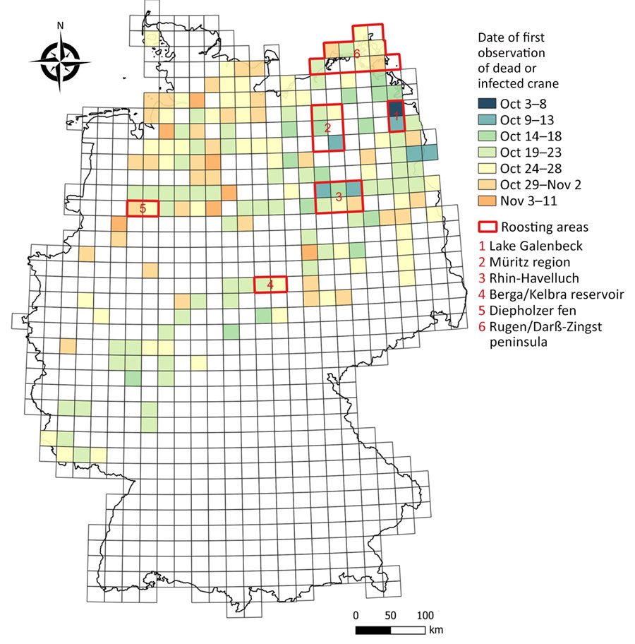 Locations of notifications for deceased or infected cranes in study of highly pathogenic avian influenza A(H5N1) clade 2.3.4.4b virus, Germany, 2025. Notifications are from the period October 3–November 11, 2025. Numbers indicate mentioned roosting areas. 