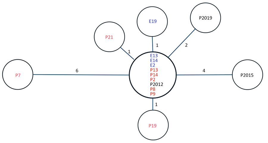Genomic links among Legionella pneumophila isolates from reference sources and from an outbreak of Legionnaires’ disease linked to newly installed residential water heaters, the Netherlands, 2022–2023. Minimum-spanning tree was based on 1,521 core genome sequencing typing targets showing genomic links between L. pneumophila isolates from 8 clinical (red font) and 4 environmental (blue font) sequence type 37 isolates related to the outbreak, as well as 3 randomly selected non–outbreak-related sequence type 37 isolates from 2012, 2015, and 2019 for context (black font). Numbers on nodes indicate allele differences.