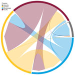 Chord diagram of highly pathogenic avian influenza A(H5N1) clade 2.3.4.4b genotype D1.1 virus across flyway regions, North America, fall 2024. The diagram shows the magnitude of transitions between flyway regions on the basis of the recorded Markov jumps from the posterior distribution of phylodynamic trees. The diagram represents sequences from 300 taxa collected during October 2024–March 2025.