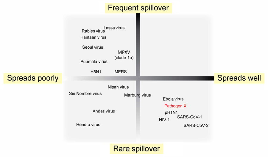 Conceptual framework for the frequency of spillover versus potential for human-to-human transmission to assess evidence to guide primary prevention of Pathogen X. Zoonotic viruses are positioned along 2 axes: spillover frequency and human-to-human spread. The y-axis line represents the boundary between viruses capable of sustained spread among humans (R>1), versus those with limited or no onward spread (R<1). The x-axis represents a relative, rather than 1-to-1, mapping of R for the example viruses. Viruses that are not known to spread human-to-human are shown at the far left of the plot. Pathogen X represents a hypothetical pandemic-capable virus and occupies the rare spillover/spreads well quadrant. MERS, Middle East respiratory syndrome; MPXV, monkeypox virus; pH1N1, pandemic H1N1.