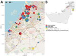 Geographic distribution of trapped mosquitoes in study of dengue virus in Aedes aegypti mosquitoes, Dubai, United Arab Emirates. A) Of the 60 sampling sites, all except 3 were located within the city of Dubai; 2 were slightly outside the city borders and 1 in Hatta, a mountainous exclave of the emirate of Dubai ≈135 km east of the city of Dubai. Sampling sites were combined for better presentation if within 1 km of each other. B) Capital cities of the 7 emirates and the study sites indicated. Mosquito genera and species are shown by different colors; the size of the circle represents the relative number of trapped mosquitoes.