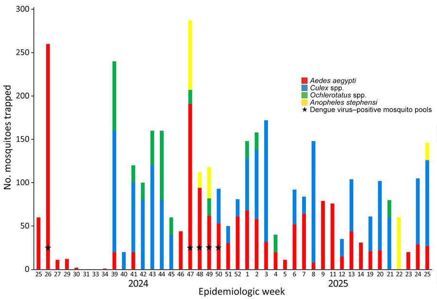 Number of mosquitos trapped in study of dengue virus in Aedes aegypti mosquitoes, Dubai, United Arab Emirates, June 2024–June 2025. We used BG Sentinel traps (Biogents, https://us-shop.biogents.com) with CO2 at various sites around Dubai to capture mosquitoes. Mosquitoes were trapped over 3-day trap-periods, with 1–7 (mean 1.9, median 1) sites per period. Aedes (Stegomyia) aegypti and Anopheles stephensi mosquitoes were typed to species level. In epidemiologic weeks 35–38 of 2024 and 15–18 of 2025, no mosquitoes were trapped.