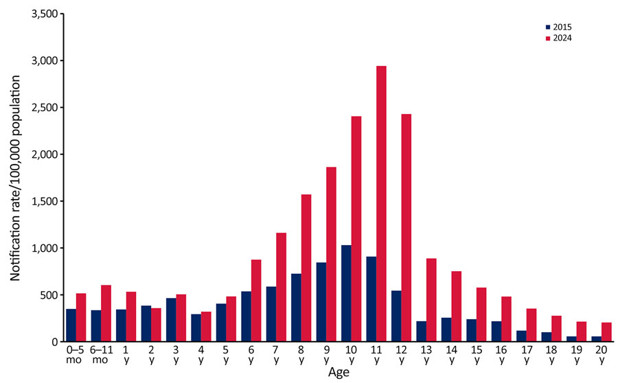 Age-specific pertussis notification rates per 100,000 population for persons 0–20 years of age, by year notified, New South Wales, Australia, 2015 and 2024. Because no population data were available for children 0–5 months and 6–11 months, the total population estimates for children <1 year of age in 2015 and 2024 was halved. These populations were used for the rate calculations.