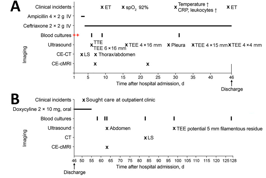 Summary of the clinical course from a case of human Lactococcus garvieae bloodstream infection complicated by spondylodiscitis, Germany. A) Clinical course during hospitalization, days 1–46. B) Clinical course and follow-up after initial discharge, days 46–128. Red plus signs indicate collection of blood, cultures of which were positive for L. garvieae; black vertical lines indicated negative blood cultures. CE-CT, contrast-enhanced computed tomography; CE-cMRI, contrast-enhanced cerebral magnetic resonance imaging; CRP, C-reactive protein; ET, endocarditis team consulted; IV, intravenous; LS, lumbar spine; spO2, peripheral oxygen saturation; TEE, transesophageal echocardiograph; TTE, transthoracic echocardiograph.