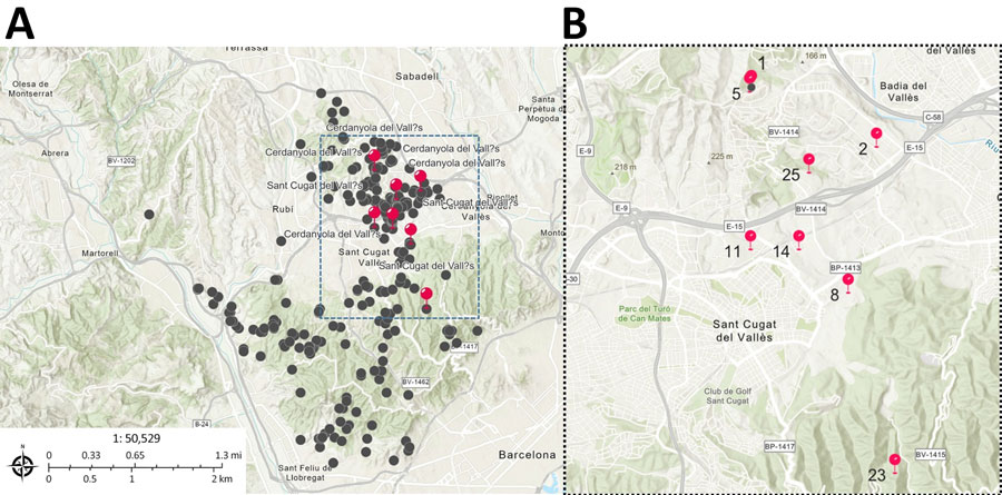 Spatial distribution of African swine fever virus (ASFV)–positive wild boar cases detected in northeastern Spain, 2025–2026. A) Geographic distribution of ASFV-positive wild boar cases detected during November 2025–May 2026 in the affected area in Barcelona. Red dots indicate cases selected for whole-genome sequencing. B) Enlarged view of the main affected area showing the spatial distribution of sequenced ASFV-positive wild boar cases. Numbers correspond to genome identifiers: 1, SP25WBCASE1 (index case); 2, SP25WBCASE2 (index case); 5, SP25WBCASE5 (case 0); 8, SP26WBCASE8; 11, SP26WBCASE11; 14, SP26WBCASE14; 23, SP26WBCASE23; 25, SP26WBCASE25.