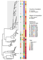 Maximum-likelihood phylogenetic tree of 212 ceftriaxone-resistant Neisseria gonorrhoeae isolates harboring penA 60.001 allele. Gray shading indicates original FC428 clone that emerged in 2015 in Japan and shows most new isolates clustering away from this clone. Columns at right shows isolates detected in England and Australia, reported regions where infections were acquired in Asia (countries include Cambodia, China, Indonesia, Japan, Thailand, Singapore, and Vietnam), multilocus sequence type, and year of isolation. Sequence types and isolate years demonstrate variation over time and genomic diversity.