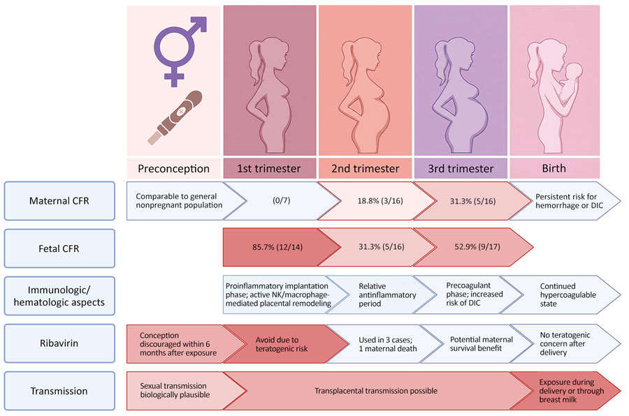 The summary of the maternal and fetal outcomes from a meta-analysis of maternal and fetal outcomes of Crimean-Congo hemorrhagic fever during pregnancy. Graphic shows transmission risk and the role of ribavirin by trimester. CFR, case-fatality rate; DIC, disseminated intravascular coagulation.