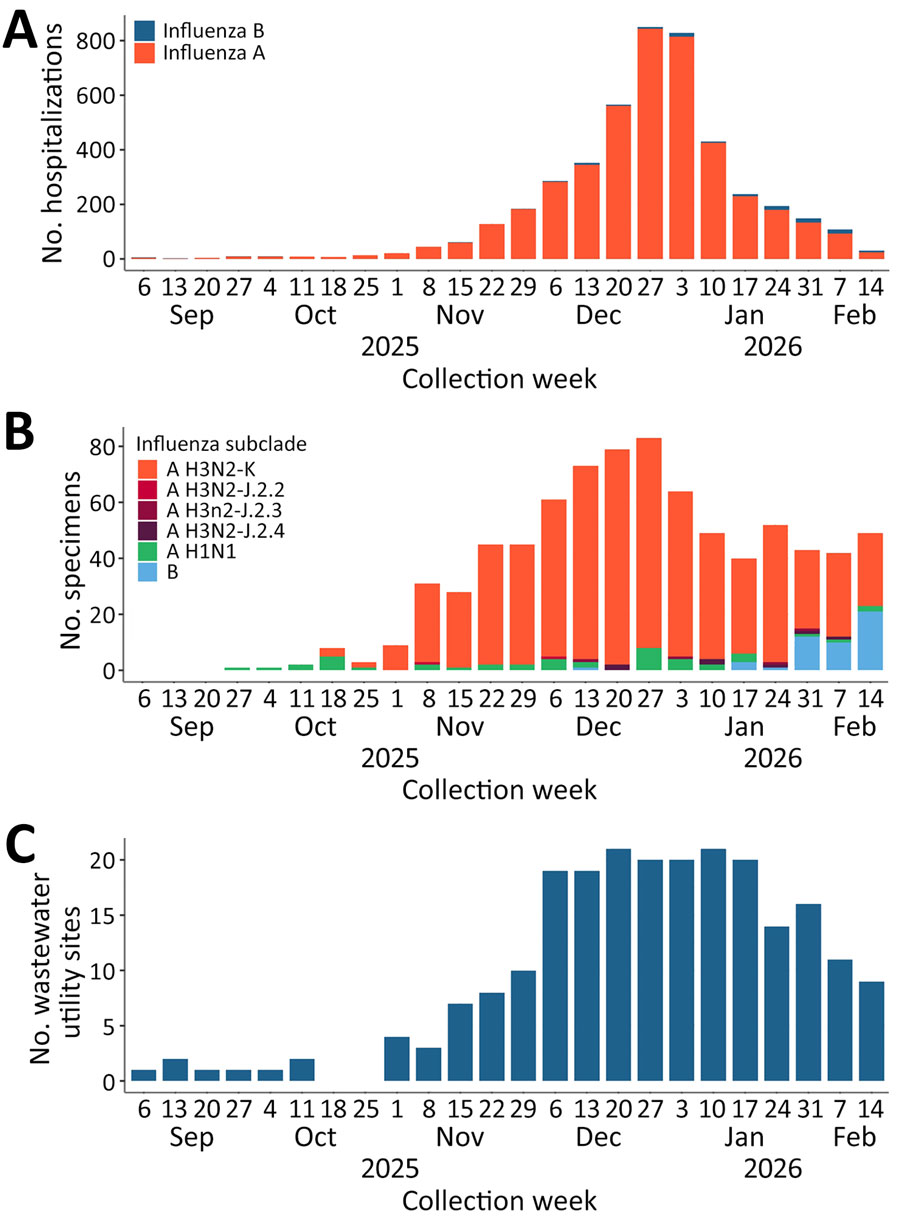 Comparison of hospitalizations, clinical specimens sequenced, and wastewater detection in study of early-season detection of influenza A(H3N2) subclade K in wastewater, Colorado, USA, 2025–2026. A) Influenza hospitalizations of influenza A and influenza B case-patients, by collection week. B) Clinical specimens sequenced and grouped by subclade characterization, by collection week. C) Unique wastewater utility sites at which concentrations of influenza A were above the limit of quantification, by collection week. No sites had concentrations above the limit of quantification for the weeks ending October 18 and 25, 2025. Collection week is shown by the week ending date.