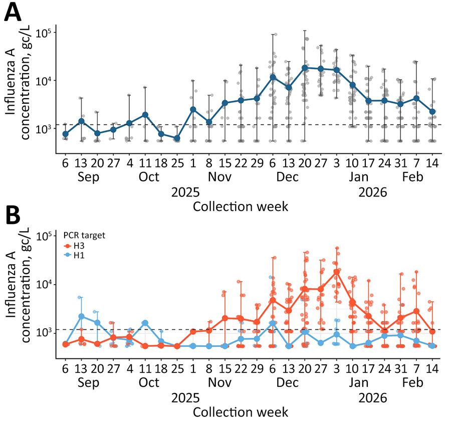 Influenza A viral concentration in wastewater in study of early-season detection of influenza A(H3N2) subclade K, Colorado, USA, 2025–2026. A) Influenza A target concentration. Blue points and connecting lines show the average concentration and trend by week. Gray points show concentrations for each sample collected by week. Error bars show the range of concentration by week. Dashed horizontal line indicates the defined limit of quantification, 1,200 gc/L. No sites had influenza A detection for the weeks ending October 18 and 25, 2025. B) Influenza H1 and H3 concentration in wastewater. Points and connecting lines show the average concentration and trend by week. Error bars show the range of concentration by week. Dashed horizontal line indicates the defined limit of quantification, 1,200 gc/L. No sites had H3 detections for the weeks ending October 4, 11, 18, and 25 and November 1, 2025.  There were no H1 detections for the weeks ending October 18 and 25 and November 1, 8, and 15, 2025, or for January 10 and 17 and February 7 and 14, 2026. Concentration is shown in log10 scale. Collection week is shown by the week ending date. gc, gene copies.