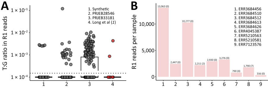 Ratio of G966T to wild-type G alleles among R1 reads of Treponema pallidum. We downloaded raw reads from the European Nucleotide Archive (BioProjects PRJEB28546 and PRJEB33181), which were re-assembled in Long et al. (1) and generated synthetic reads with the error profile of the Illumina HiSeq 2500 (Illumina ART; https://www.niehs.nih.gov/research/resources/software/biostatistics/art) from 29 high-quality T. pallidum assemblies from GenBank using Illumina ART. We removed reads containing host sequences by using kraken 2 (https://github.com/DerrickWood/kraken2), performed quality and adaptor trimming with Trimmomatic version 0.39 (https://github.com/usadellab/trimmomatic), and filtered remaining read pairs to include only reads unambiguously arising from T. pallidum (taxid 160) using the standard kraken 2 16GB database with the default kmer length of 35. We isolated reads containing sequences from either of the rRNA loci by using bbduk (https://sourceforge.net/projects/bbmap) requiring a 21-mer match to the T. pallidum 16S locus sequence with 1 or 0 mismatches. For unambiguous identification and enumeration of the wild-type or G966T variant, R1 reads were grepped for perfect matches to the 51-base sequence centered on nt 966 (bold), equivalent to positions 232265 and 280700 in the SS14 reference sequence chromosome (CP004011): GGTGGAGCATGTGGTTTAATTCGATGATACGCGAGGAACCTTACCCGGGTT (wild-type) and GGTGGAGCATGTGGTTTAATTCGATTATACGCGAGGAACCTTACCCGGGTT (G966T), and the reverse complement of each. A) G:T ratio at rRNA position 966 in samples with >100 R1 reads (n = 622). Each point represents a sample; points below the dotted line contain 0 G966T reads. Boxplots represent medians and interquartile ranges. Samples identified in Long et al. do not have a G966T allele frequency exceeding the technical noise from PCR and sequencing. B) Total R1 reads containing wild-type and mutant sequence in 9 samples identified by Long et al. The total reads are shown for each sample and the number of reads supporting the G966T mutation is shown in parentheses. 