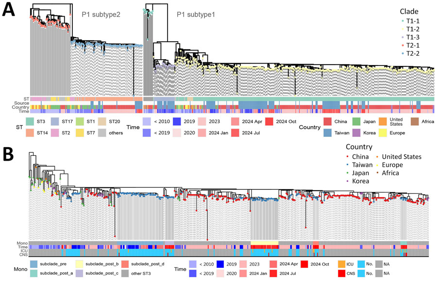 Phylogenomic evolution of Mycoplasma pneumoniae in study of emergence of novel macrolide-resistant M. pneumoniae ST3 subclades in children after COVID-19 pandemic, Taiwan, 2017–2024. A) Global phylogenetic tree showing evolutionary relationships among all sequenced strains. Nodes are colored by clade according to our previous study (12). Annotation bands indicate sequence type, data source, country, and sampling time. For 2024, isolates were grouped into quarterly intervals (January–March, April–June, July–September, and October–December) to provide greater temporal resolution during the outbreak. B) Phylogeny of ST3 strain. Nodes are colored by country, with annotation bands indicating monophyletic subclades (Mono), sampling time, ICU admission, and CNS complications. CNS, central nervous system; ICU, intensive care unit; ST, sequence type.