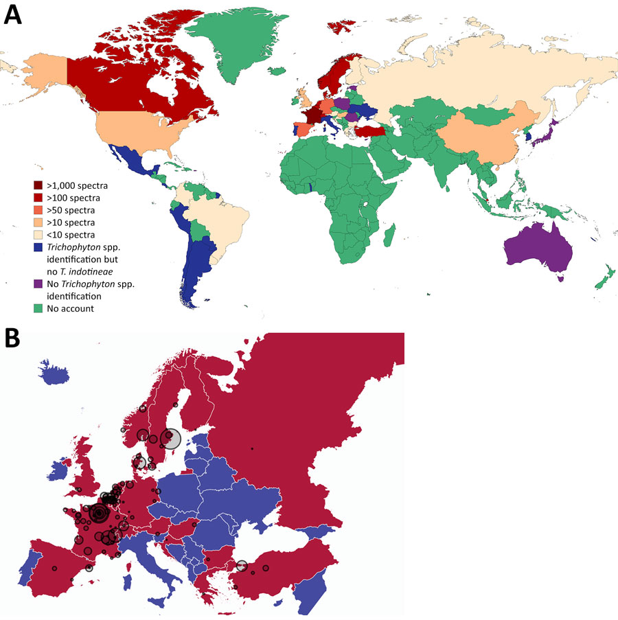 Geographic distribution of Trichophyton indotineae spectra in study of global spread of T. indotineae tracked by the Mass Spectrometry Identification (MSI) Network, 2022–2025. Maps indicate global (A) and European (B) distribution of T. indotineae spectra obtained using the online MSI application during March 31, 2022–December 31, 2025. Circle size is proportional to the number of spectra identified per center (1–301 spectra). Maps were generated with mapchart (https://www.mapchart.net) and Flourish (https://flourish.studio).