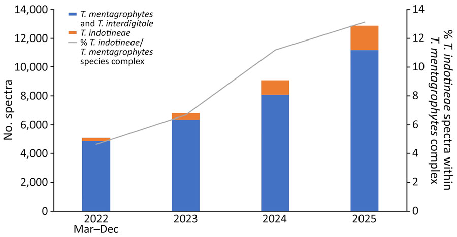 Temporal evolution of Trichophyton indotineae spectra identified in study of global spread of T. indotineae tracked by the Mass Spectrometry Identification Network, 2022–2025. Spectra were identified during March 31, 2022–December 31, 2025, and normalized to the total number of spectra within the T. mentagrophytes species complex (i.e., T. mentagrophytes, T. interdigitale, and T. indotineae).