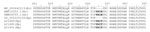 Penicillin-binding protein 3 (PBP3) amino acid alignment of Klebsiella pneumoniae carbapenemase–producing K. pneumoniae with PBP3 insertions, Taiwan, 2021. Representative Escherichia coli genomes with wild-type PBP3 (GenBank accession no. WP_000642213) and YRIK (accession no. AWF10252) and YRIN (accession no. YP_005225104) insertions are shown, as is K. pneumoniae genome without insertions. LC1489–91 are patient-derived K. pneumoniae genomes with PBP3 YRIT insertions from this study. Ec, E. coli; Kp, K. pneumoniae.