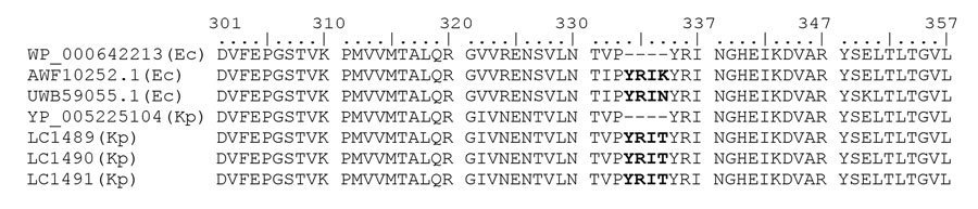 Penicillin-binding protein 3 (PBP3) amino acid alignment of Klebsiella pneumoniae carbapenemase–producing K. pneumoniae with PBP3 insertions, Taiwan, 2021. Representative Escherichia coli genomes with wild-type PBP3 (GenBank accession no. WP_000642213) and YRIK (accession no. AWF10252) and YRIN (accession no. YP_005225104) insertions are shown, as is K. pneumoniae genome without insertions. LC1489–91 are patient-derived K. pneumoniae genomes with PBP3 YRIT insertions from this study. Ec, E. coli; Kp, K. pneumoniae.