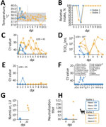 Clinical and laboratory findings from experimental highly pathogenic avian influenza A(H5N1) clade 2.3.4.4b virus infection in alpacas, 2026. Stable 1 alpacas were sampled before euthanasia at 4 dpi; stable 2 alpacas were sampled for 20 dpi before euthanasia. A, B) Clinical signs; C–H) laboratory findings. A) Body temperature; shading indicates physiologic range; dotted vertical line indicates dpi that stable 1 alpacas were euthanized. B) Percentage of typical feed intake. C) Quantitative reverse transcription PCR (qRT-PCR) results on nasal swab samples showing H5N1 viral genome was detected until 7 dpi. Shading indicates LOD. D) Nasal swab sample infectious titers. E) qRT-PCR results on rectal swab samples. Shading indicates LOD. F) qRT-PCR results on tissue samples. Of note, only nose and trachea samples were qRT-PCR–positive as evaluated by endpoint dilution assays for quantification of infectious virus. Asterisks indicate samples that tested positive for infectivity by endpoint dilution at 101.88, 101.82, and 101.62 TCID50/mL. G) ELISA specific for H5 antibodies, confirming positivity of samples collected at 20 dpi. H) Neutralization titers determined by using a live virus neutralization test against 100 TCID50, with the endpoint defined as complete protection from cytopathic effect. Titers are expressed as reciprocal serum dilution, confirming measurable neutralizing capacity for 2 of the samples that tested positive by ELISA. dpi, days postinfection; L, left; LOD, limit of detection; LU, light unit; NanoLuc, nanoluciferase; R, right; TCID50, 50% tissue infective dose.