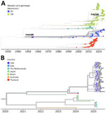 Genomic surveillance context of F:H419R among publicly available measles virus genomes from study of whole-genome sequencing of measles virus from 2025 outbreak, Texas, USA. A) Nextstrain time-scaled global phylogeny of measles viruses showing genotype B3 and D8 measles virus genomes with the F:H419R substitution highlighted (https://nextstrain.org/measles/genome@2025-09-24?gt=F.419R&treeZoom=selected). B) Global genotype D8 context of representative measles genomes associated with the outbreak in Texas and representative publicly available F:H419R-positive D8 genomes. F:H419R, Fusion gene H419R substitution.