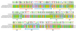 Reverse transcription loop-mediated isothermal amplification (RT-LAMP) primers targeting the influenza D virus polymer basic protein 2 gene in study of isothermal detection of influenza D virus. All available influenza D virus polymer basic protein 2 gene sequences in the National Center for Biotechnology Information Nucleotide database (https://www.ncbi.nlm.nih.gov/nucleotide) were aligned and mutations were annotated. To improve coverage, primers were synthesized with degenerate nucleotides in positions with heterogeneity in the sequences. The consensus sequence and sequences of the 3 isolates (D/bovine/France/5920/2014, D/swine/Oklahoma/1334/2011, and D/swine/England/126471/2023) are shown for comparison. Primer target sequences are presented within the boxes, and the direction of binding is represented by the arrows. 