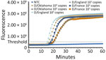 Mean amplification curves from reverse transcription loop-mediated isothermal amplification reaction triplicates showing the onset of amplification in study of isothermal detection of influenza D virus. All influenza D virus isolate RNAs at 104 and 103 copies per µL amplified within the first 20 minutes regardless of the lineage. NTC, nontemplate control.