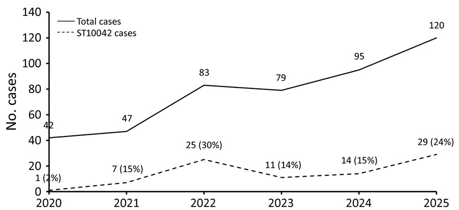 Temporal trend of Campylobacter coli human isolates (n = 466) and ST10042 isolates (n = 87), Portugal, 2020–2025, in study of multisectoral emergence of multidrug-resistant C. coli ST10042 lineage, Europe, 2018–2025. ST, sequence type.