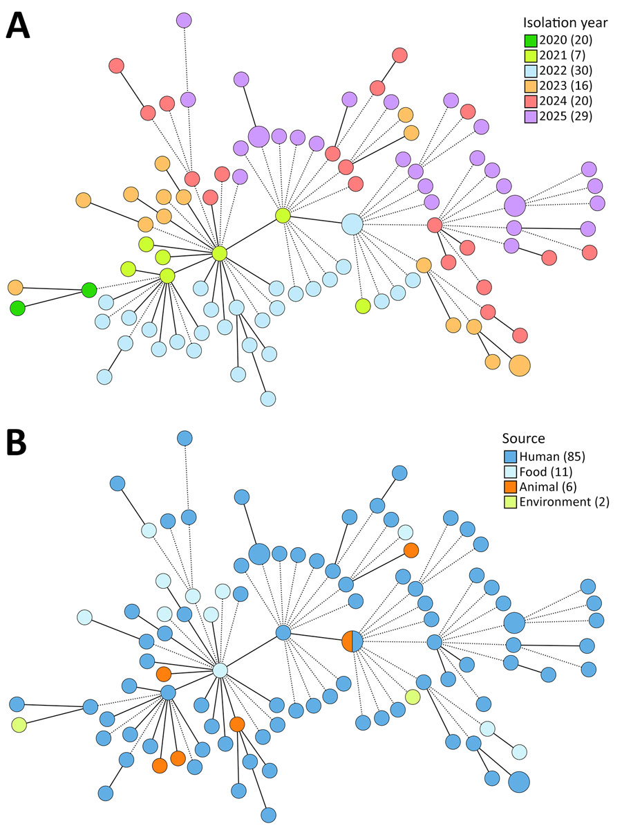 Diversity of the Campylobacter coli sequence type 10042 isolates from Portugal in study of multisectoral emergence of multidrug-resistant C. coli sequence type 10042 lineage, Europe, 2018–2025. Minimum-spanning tree of 104 Portugal isolates shows genetic diversity assessed using a gene-by-gene approach based on the PubMLST core-genome MLST v1 scheme (1,343 loci). Minimum-spanning tree was generated using the MSTreeV2 algorithm in GrapeTree (https://github.com/achtman-lab/grapetree) and based on allelic differences. Filled circles (sizes proportional to the number of isolates) represent unique allelic profiles. Nodes are colored by year of isolation (A) and source (B). Solid lines indicate genetic clusters defined by an allelic distance <5, whereas dashed lines indicate an allelic distance >5.