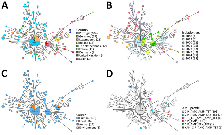 Diversity of Campylobacter coli sequence type 10042 isolates in study of multisectoral emergence of multidrug-resistant C. coli sequence type 10042 lineage, Europe, 2018–2025. Minimum-spanning tree of 211 isolates from 9 countries in Europe (Portugal, Germany, Luxembourg, France, Ireland, Denmark, the Netherlands, the United Kingdom, and Spain). Genetic diversity was assessed using a gene-by-gene approach based on the PubMLST cgMLST v1 scheme (1,343 loci). Minimum-spanning tree was generated using the MSTreeV2 algorithm in GrapeTree and based on allelic differences. Filled circles (sizes proportional to the number of isolates) indicate unique allelic profiles. Nodes are collapsed at an allelic distance <5 and colored according to country (A), year (B), source (C), and antimicrobial resistance profile (D). For clarity, only the 3 main clusters (15,20,21) are labeled. In panel D, all isolates harbor blaOXA-61 and the −57G>T promoter mutation. Isolates marked with a symbol additionally carry the promoter deletion or a different porA. *blaOXA-61 + promoter(–57G>T; delA-69)_porA(35) (n = 1); †blaOXA-61 + promoter(–57G>T)_porA(4736) (n = 1); ‡blaOXA-61 + promoter(–57G>T)_porA(914) (n = 1); §blaOXA-61 + promoter(–57G>T)_ porA(1512) (n = 2); ¶blaOXA-61 + promoter(–57G>T)_ porA(4735) (n = 1); #blaOXA-61 + promoter(–57G>T)_porA(1006) (n = 1).