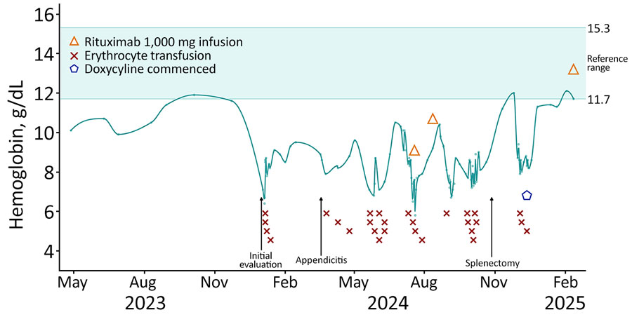 Hemoglobin levels (blue line) for patient 1 in a case series of 3 patients with neoehrlichiosis and hemolytic anemia at admission, during disease course, and after treatment with antibiotics, Norway, 2024–2025. 