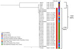 SNP-based phylogeny of Klebsiella aerogenes sequence type (ST) 117 and related isolates from study of facial folliculitis in men who have sex with men in France, Belgium, and the United States. Phylogenetic tree shows 24 folliculitis-associated isolates from 17 patients, 4 unrelated ST117 isolates from the French National Reference Center not implicated in folliculitis, and 4 ST117 folliculitis isolates collected in Belgium in 2025 (2). An expanded version of this figure is available online (https://wwwnc.cdc.gov/EID/article/32/7/26-0572-App2.pdf). F-NRC, French National Reference Center; SNP, single-nucleotide polymorphism.