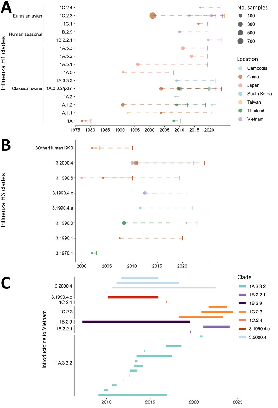 Duration of swine influenza clades circulated in Asia for H1 (A) and H3 (B) and clusters of each clade introduced into Vietnam (C) as part of study of molecular epidemiology and evolution of swine influenza A viruses, Vietnam, 2020–2024. In panels A and B, the dots indicate the sampling dates of the earliest viruses of each clade displayed, the vertical bars are the times of the latest samples, and the size of the dots represents the total number of samples of the clade in that location. In panel C, each bar starts from the time of the most recent common ancestor and the sampling time of the latest virus of each clade.