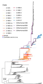 Maximum-likelihood tree of influenza A virus H3 gene from study of molecular epidemiology and evolution of swine influenza A viruses, Vietnam, 2020–2024. Branches are colored by clades. Scale bar represents the number of nucleotide substitutions per site.