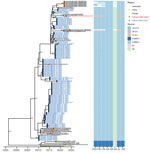 Time-scaled maximum likelihood phylogeny of swine influenza A virus hemagglutinin H3 clade 3.2000.4 from study of molecular epidemiology and evolution of swine influenza A viruses, Vietnam, 2020–2024. The heatmap shows the genetic source of all genes. Dots are colored by geographic regions. Red and blue circled dots and labels show the samples in Vietnam from this study and from previous studies. Shimodaira-Hasegawa–like approximate likelihood ratio test branch support values are labeled on nodes. The horizontal axis represents calendar time.