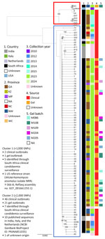 Whole-genome SNP phylogeny of Wickerhamomyces anomalus clinical, gel, surveillance, and reference isolates, South Africa. Red box indicates cluster 1; blue box indicates cluster 2. Scale bar indicates mean number of nucleotide substitutions per variable site. Node values represent ultrafast bootstrap support percentages based on 1,000 replicates. GA, Gauteng Province; KZ, KwaZulu–Natal Province; MP, Mpumalanga Province; NA, not applicable; NC, Northern Cape Province; NCBI, National Center for Biotechnology Information; NW, North West Province; WC, Western Cape Province; SNP, single-nucleotide polymorphism; USA, United States.