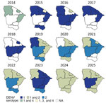 Annual distribution of DENV serotypes across the mesoregions from study of DENV transmission dynamics, Ceará State, Brazil, 2014–2025. DENV, dengue virus.