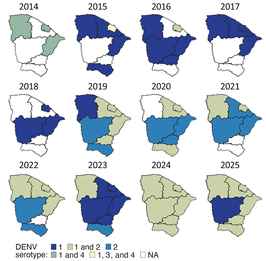 Annual distribution of DENV serotypes across the mesoregions from study of DENV transmission dynamics, Ceará State, Brazil, 2014–2025. DENV, dengue virus.