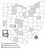 Reports of Gulf Coast ticks (Amblyomma maculatum) in Ohio, USA. Map highlights counties with previous reports of 1–2 Gulf Coast tick detections from the Ohio Department of Health (1990–2020), the collection sites from this study of active and passive Gulf Coast tick detections (2020–2021), and the counties we determined to have an established population (>6 adults) of Gulf Coast ticks.