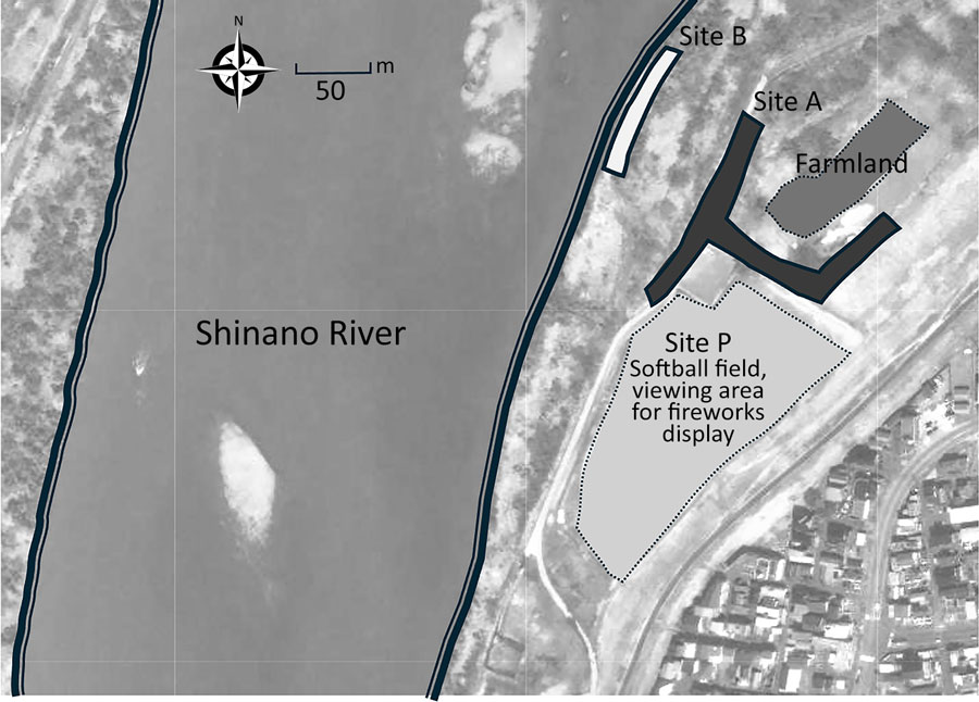 Study sites for investigation of reemergence of scrub typhus associated with Leptotrombidium akamushi mites and Karp-like Orientia tsutsugamushi genotype bacteria, Japan, 2024–2025. Map shows suspected exposure site along the Shinano River in Niigata Prefecture (P) and 2 sampling sites (A and B). Site A was located adjacent to farmland, and site B was located along the riverbank. Sites A and B are within 200 m of the patient’s suspected exposure site.
