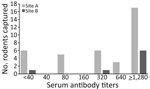 Antibody titers from field mice in a study of reemergence of scrub typhus associated with Leptotrombidium akamushi mites and Karp-like Orientia tsutsugamushi genotype bacteria, Japan, 2024–2025. We tested serum samples from large Japanese field mice (Apodemus speciosus) by indirect immunofluorescence assay against 6 O. tsutsugamushi bacterial serotypes. Titers >80 were considered positive.