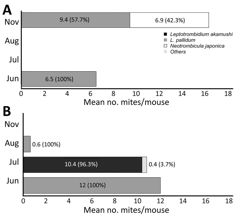 Seasonal abundance and species composition of trombiculid mites collected from field mice in a study of reemergence of scrub typhus associated with Leptotrombidium akamushi mites and Karp-like Orientia tsutsugamushi genotype bacteria, Japan, 2024–2025. A) Site A, near a tract of farmland; B) site B, near the riverbank. Graphs show mean numbers of mites per mouse and species composition for each sampling period. Mite species composition differed markedly between the sites: L. pallidum was predominant at site A in June (early summer) and November (autumn), whereas L. akamushi was predominant at site B in July (summer). Neotrombicula japonica and other mite species were also detected.