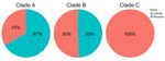 Temporal and regional distribution of Middle East respiratory syndrome coronavirus sequences for each clade described during global genomic surveillance, 2012–2025. A) Clade B, n = 721; B) clade C, n = 83; C) clade A, n = 3. Bar colors indicate World Health Organization region: gold, Africa Region (AFR); magenta, Region of the Americas (AMR); green, Eastern Mediterranean Region (EMR); black, European Region (EUR); blue, South-East Asia Region (SEAR); red, Western Pacific Region (WPR).