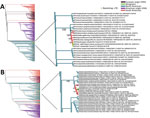 Maximum-likelihood phylogenies of NP and PB2 internal genes from divergent highly pathogenic avian influenza A(H5N1) clade 2.3.4.4b virus, São Paulo, Brazil, 2025. A) Alignment of NP internal gene sequences. B) Alignment of PB2 internal gene sequences. Asterisks (*) indicate sequences generated in this study. Numbers at major nodes indicate percent bootstrap values based on 1,000 replications. NP, nucleoprotein; PB2, polymerase basic 2. 