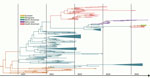 Time-scaled Bayesian maximum clade credibility tree of divergent highly pathogenic avian influenza A(H5N1) clade 2.3.4.4b virus, São Paulo, Brazil, 2025. The tree was inferred by using the Gaussian Markov Random Field Skyride prior model and includes 206 representative H5 clade 2.3.4.4b virus sequences from Eurasia and the Americas. Tan circle nodes indicate bootstrap >70.